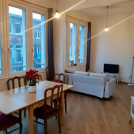 Vue Imprenable Sur L'escaut Et Le Pont De Fer * Tournai