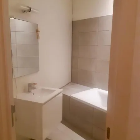 Vue Imprenable Sur L'escaut Et Le Pont De Fer