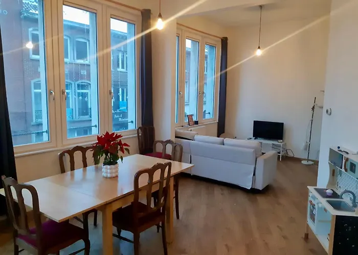 Vue Imprenable Sur L'escaut Et Le Pont De Fer * Tournai