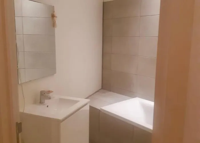 Vue Imprenable Sur L'escaut Et Le Pont De Fer