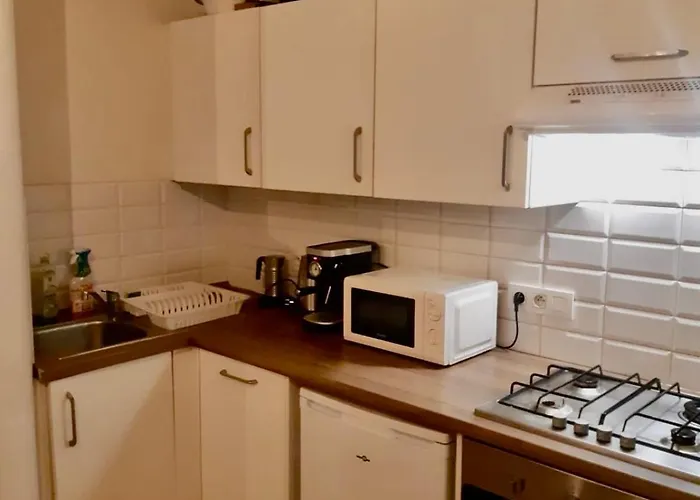 Vue Imprenable Sur L'escaut Et Le Pont De Fer