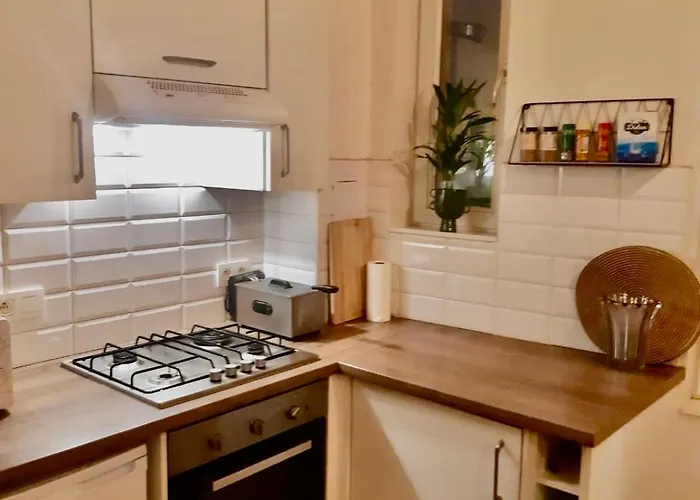 Appartement Vue Imprenable Sur L'escaut Et Le Pont De Fer